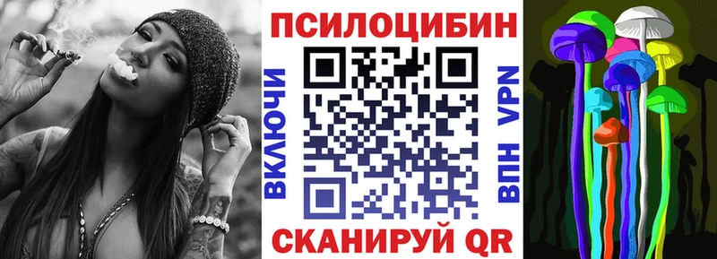 Купить  Кириллов  Псилоцибиновые грибы Cubensis 